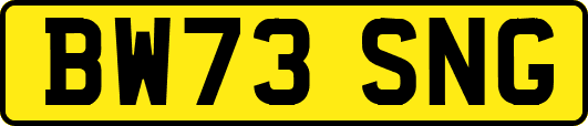 BW73SNG