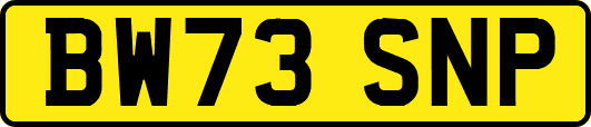 BW73SNP