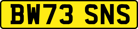 BW73SNS