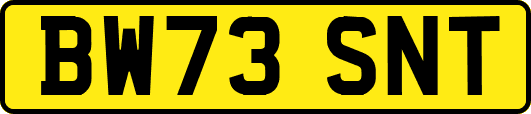 BW73SNT