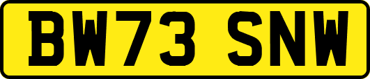 BW73SNW