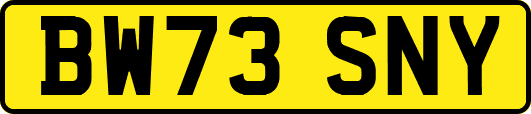 BW73SNY