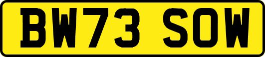 BW73SOW