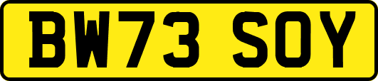 BW73SOY