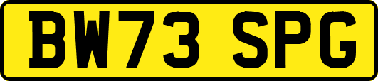 BW73SPG