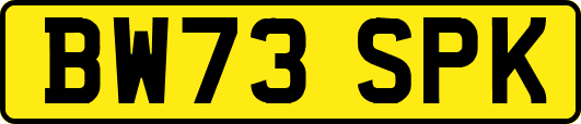 BW73SPK