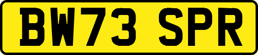 BW73SPR