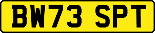 BW73SPT