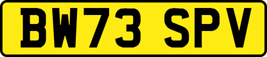 BW73SPV