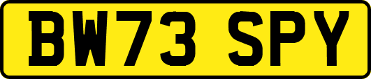 BW73SPY