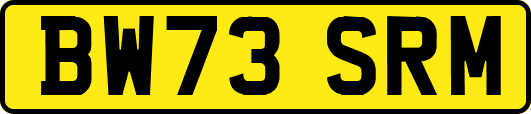 BW73SRM