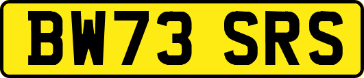 BW73SRS