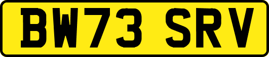 BW73SRV