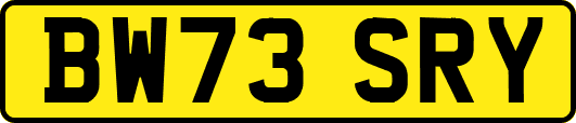BW73SRY
