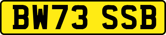 BW73SSB