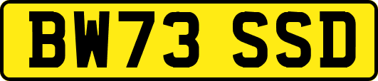 BW73SSD
