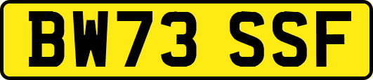 BW73SSF