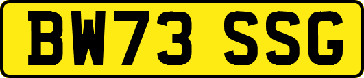 BW73SSG