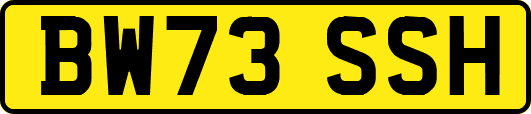 BW73SSH