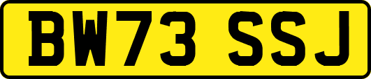 BW73SSJ