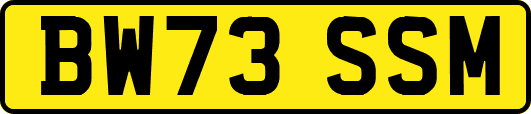 BW73SSM