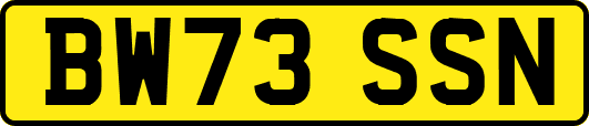 BW73SSN