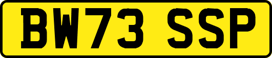 BW73SSP
