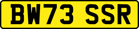 BW73SSR