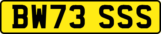 BW73SSS