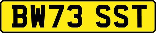 BW73SST