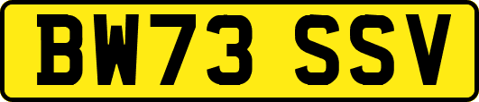 BW73SSV