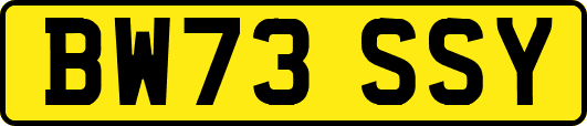 BW73SSY