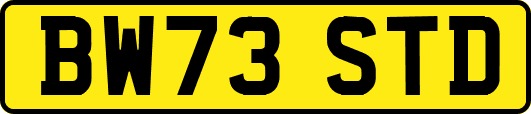 BW73STD