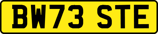 BW73STE