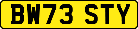 BW73STY