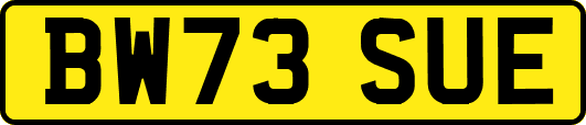 BW73SUE