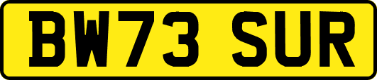 BW73SUR