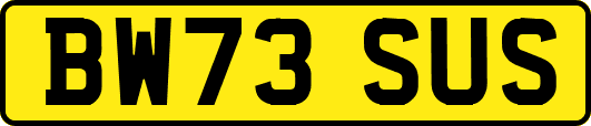 BW73SUS