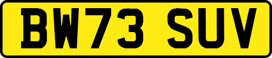 BW73SUV