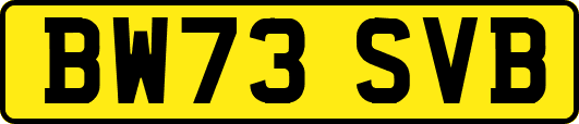 BW73SVB