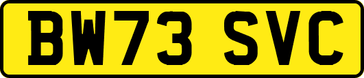 BW73SVC