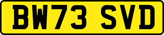 BW73SVD