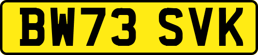 BW73SVK