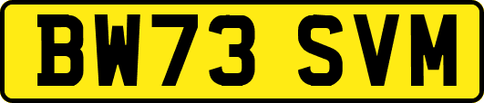 BW73SVM