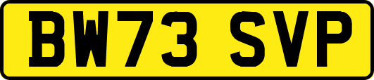 BW73SVP