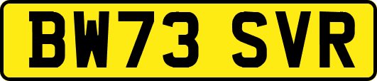 BW73SVR