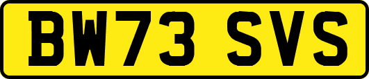 BW73SVS