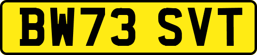 BW73SVT