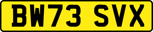 BW73SVX