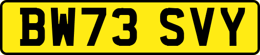 BW73SVY